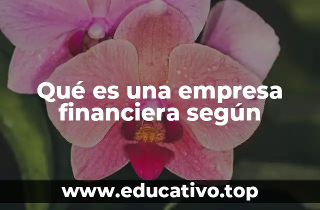 Qué es una empresa financiera según