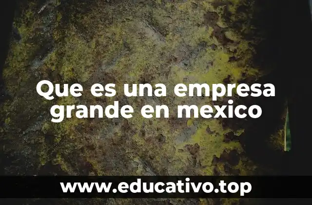 Que es una empresa grande en mexico