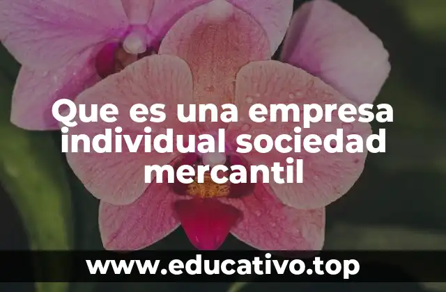 Que es una empresa individual sociedad mercantil