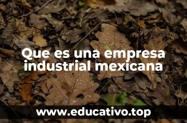 Que es una empresa industrial mexicana