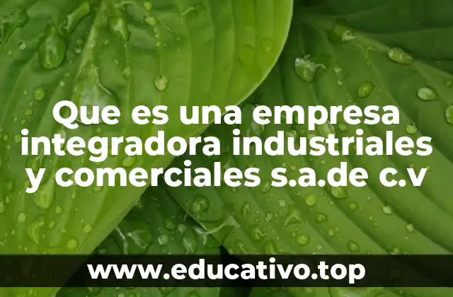 Que es una empresa integradora industriales y comerciales s.a.de c.v