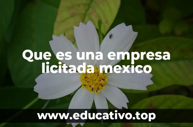 Que es una empresa licitada mexico