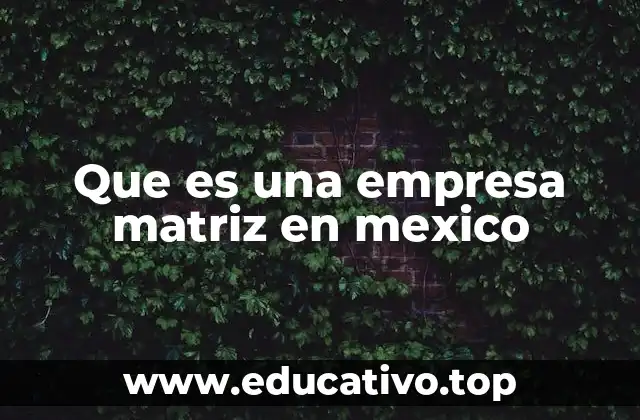 Que es una empresa matriz en mexico