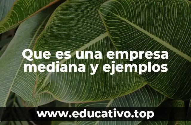 Que es una empresa mediana y ejemplos