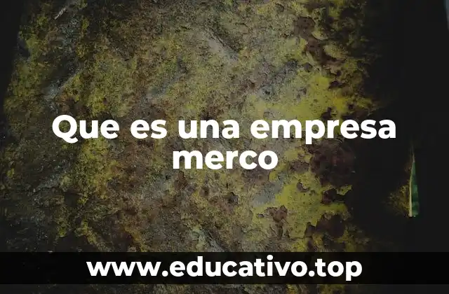 Que es una empresa merco