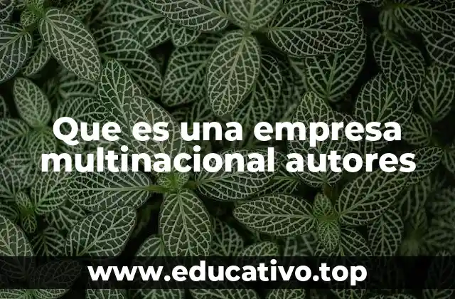 Que es una empresa multinacional autores