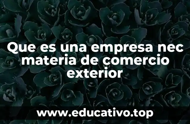 Que es una empresa nec materia de comercio exterior