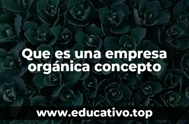 Que es una empresa orgánica concepto