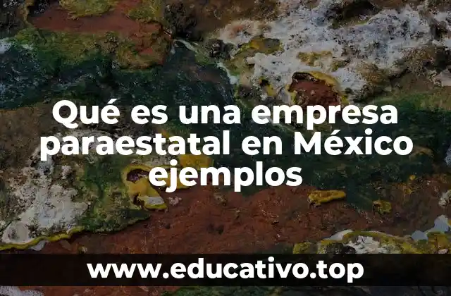 Qué es una empresa paraestatal en México ejemplos