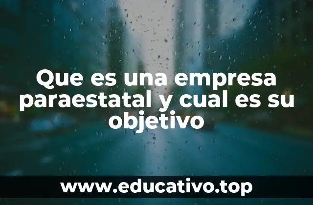 Que es una empresa paraestatal y cual es su objetivo