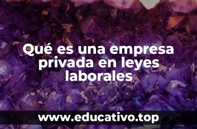 Qué es una empresa privada en leyes laborales