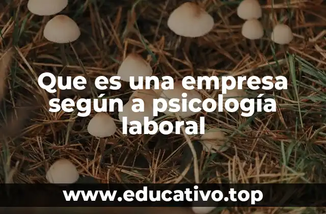Que es una empresa según a psicología laboral