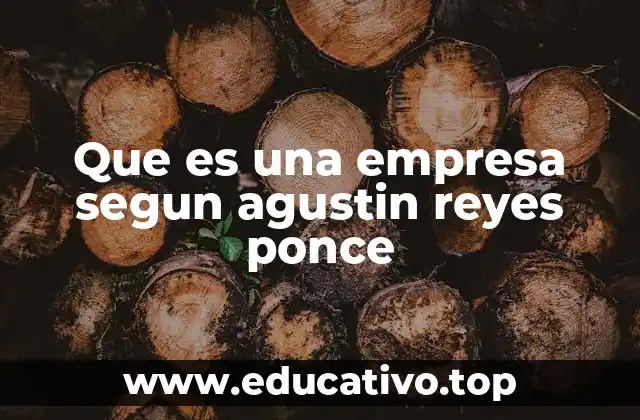 Que es una empresa segun agustin reyes ponce