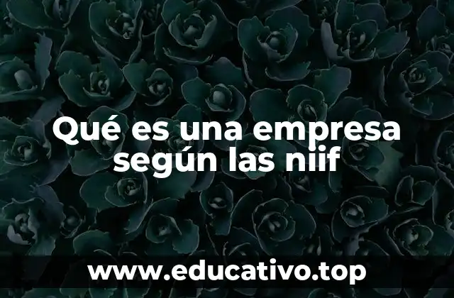 Qué es una empresa según las niif