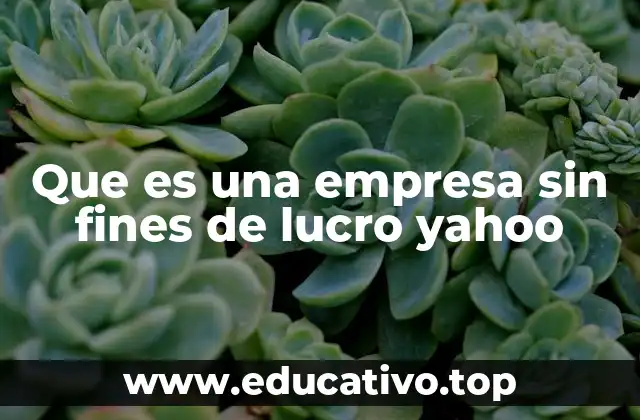 Que es una empresa sin fines de lucro yahoo