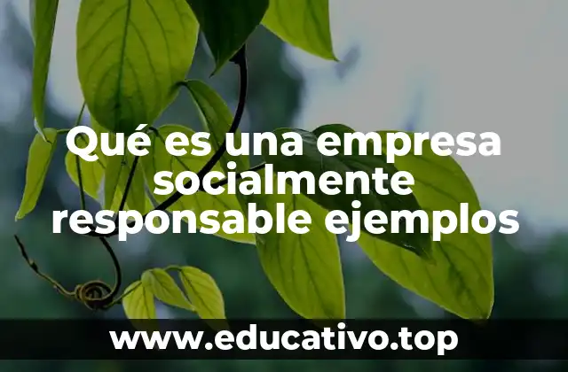 Qué es una empresa socialmente responsable ejemplos