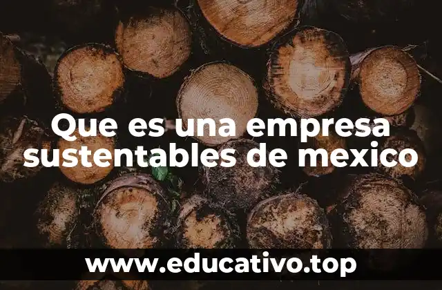 Que es una empresa sustentables de mexico
