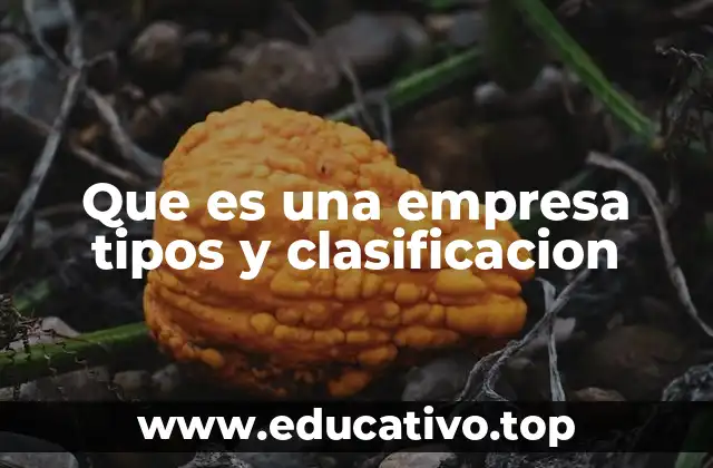 Que es una empresa tipos y clasificacion