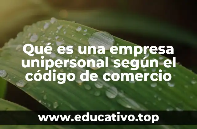 Qué es una empresa unipersonal según el código de comercio