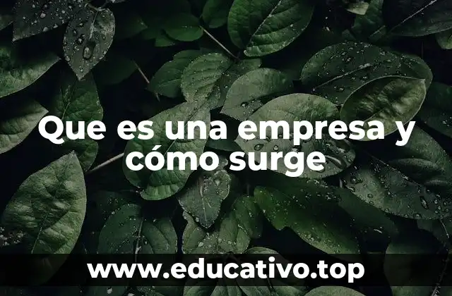 Que es una empresa y cómo surge