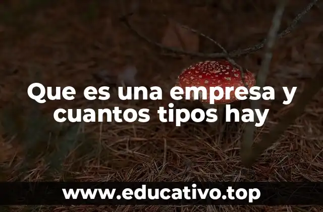Que es una empresa y cuantos tipos hay