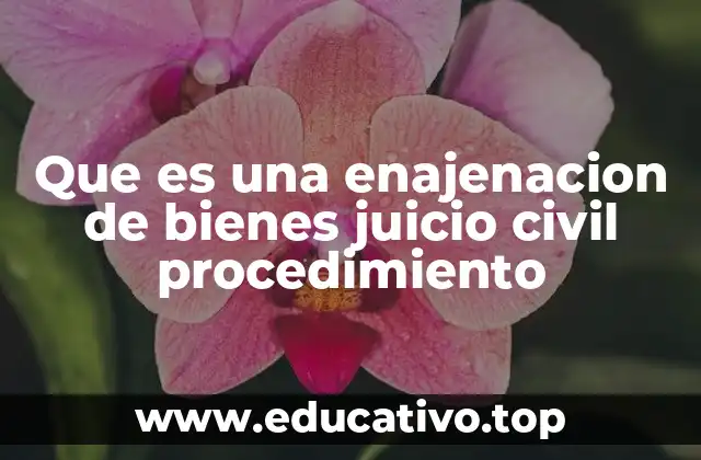 Que es una enajenacion de bienes juicio civil procedimiento