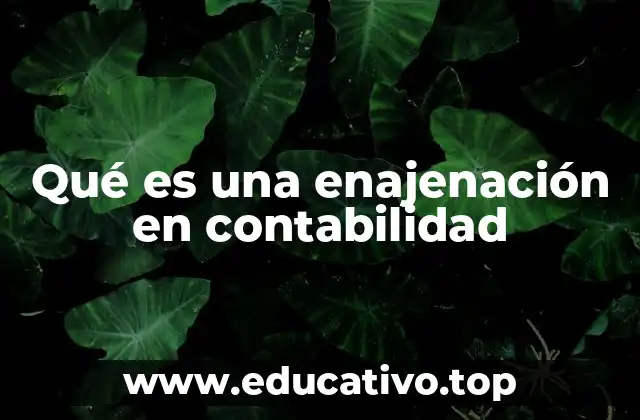 Qué es una enajenación en contabilidad