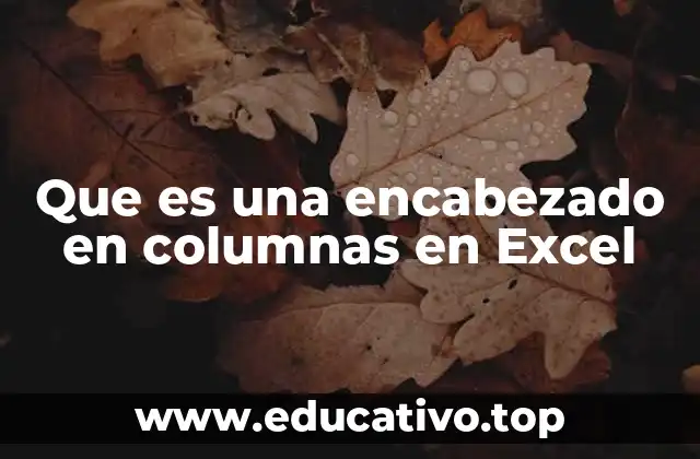 Que es una encabezado en columnas en Excel
