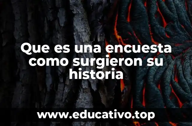 Que es una encuesta como surgieron su historia