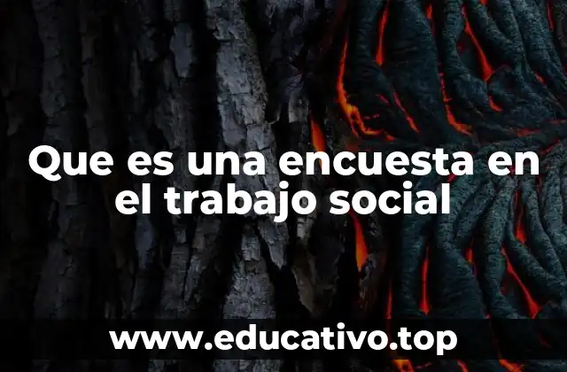 Que es una encuesta en el trabajo social
