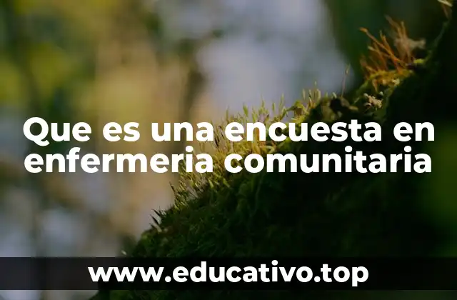 Que es una encuesta en enfermeria comunitaria