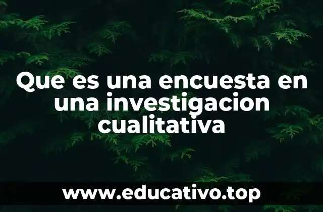Que es una encuesta en una investigacion cualitativa
