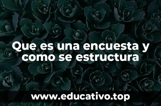 Que es una encuesta y como se estructura