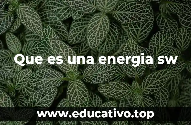 Que es una energia sw