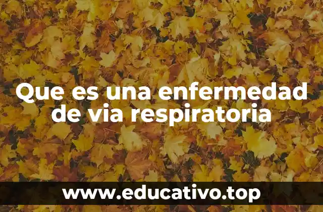 Que es una enfermedad de via respiratoria