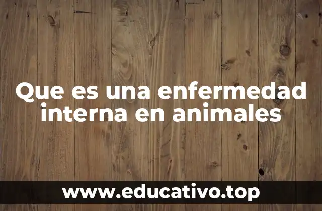Que es una enfermedad interna en animales