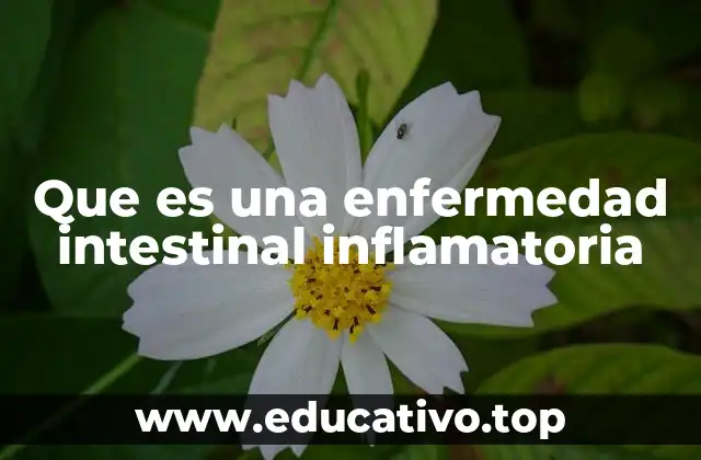 Que es una enfermedad intestinal inflamatoria