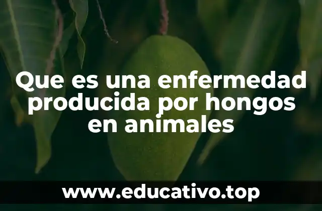 Que es una enfermedad producida por hongos en animales