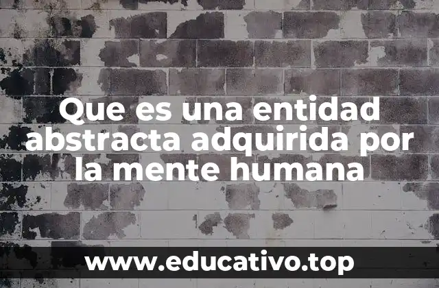 El poder de la abstracción en la evolución humana