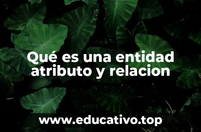 Qué es una entidad atributo y relacion