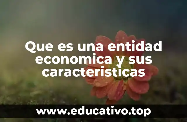 El papel de las entidades económicas en la sociedad