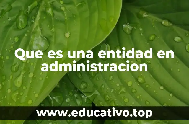 Que es una entidad en administracion