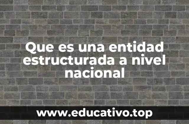 Que es una entidad estructurada a nivel nacional