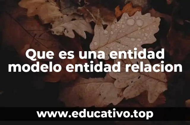 Cómo se utiliza el modelo entidad-relación en el diseño de bases de datos