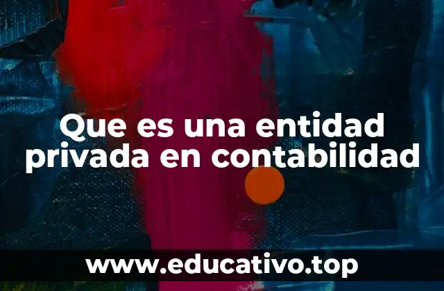 Que es una entidad privada en contabilidad