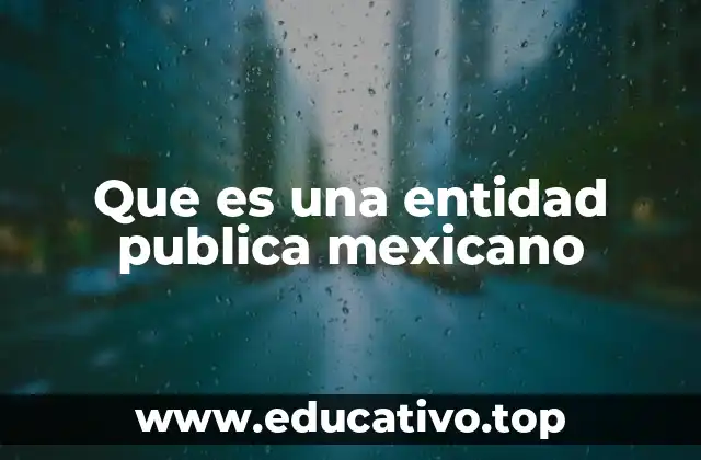 Que es una entidad publica mexicano