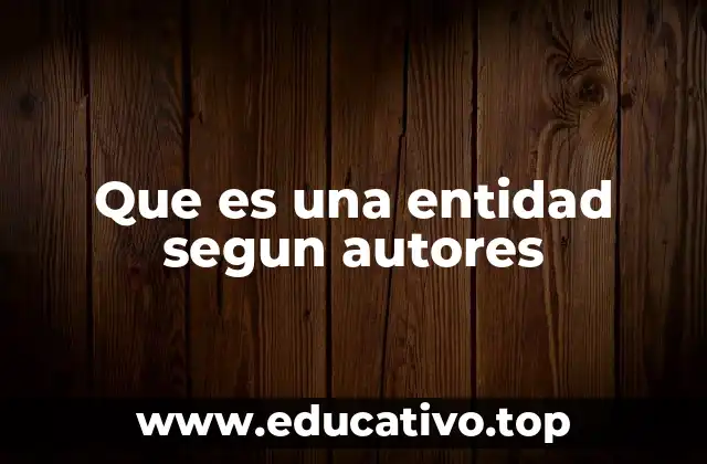 Que es una entidad segun autores