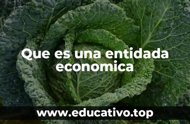 Características esenciales de una entidad económica