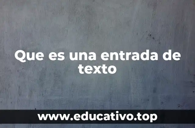 Que es una entrada de texto