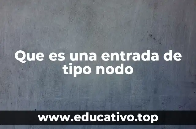 Que es una entrada de tipo nodo